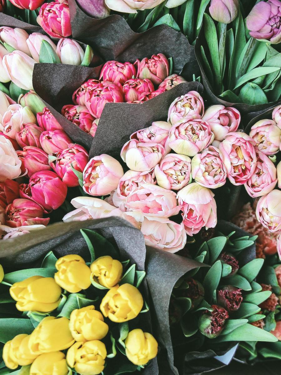 初學者的不專業10種花材葉材介紹＋花藝小知識分享